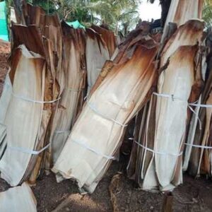 Areca Leaf Products